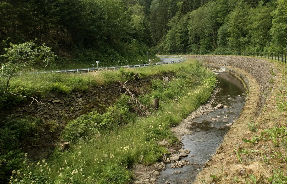 Die Innerste zwischen Wildemann und Lautenthal